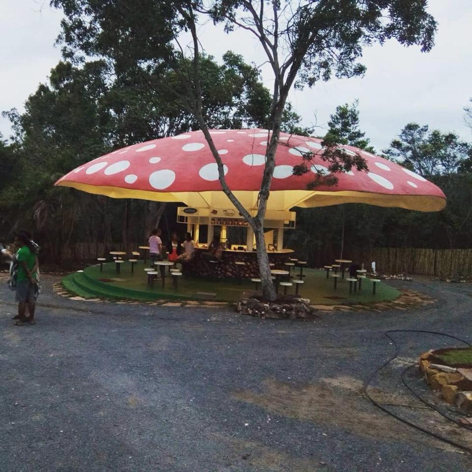 Riachinho Pousada Fazenda Vale do Capao Eksteriør bilde