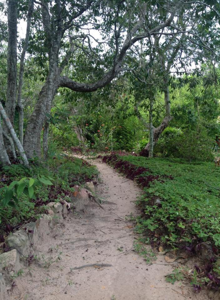Riachinho Pousada Fazenda Vale do Capao Eksteriør bilde