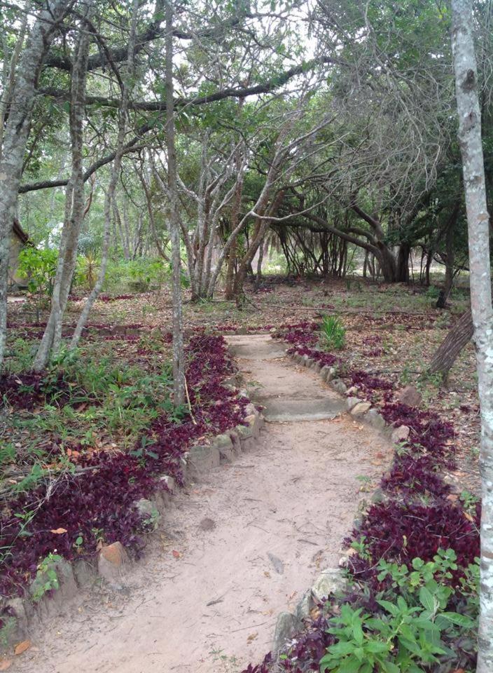 Riachinho Pousada Fazenda Vale do Capao Eksteriør bilde